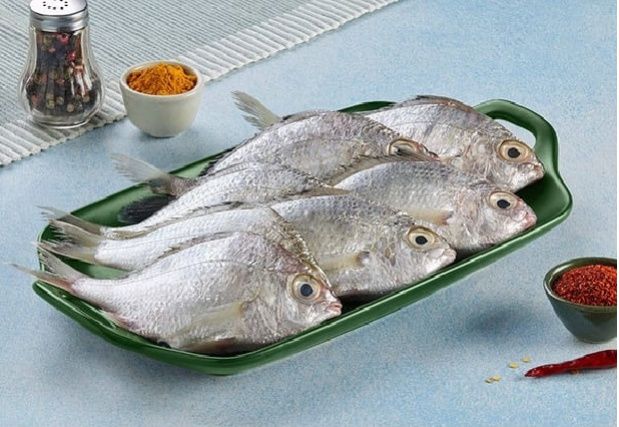 Silver Biddy / Pranjil