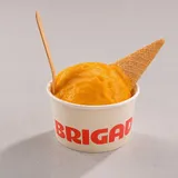 Mango Sorbet