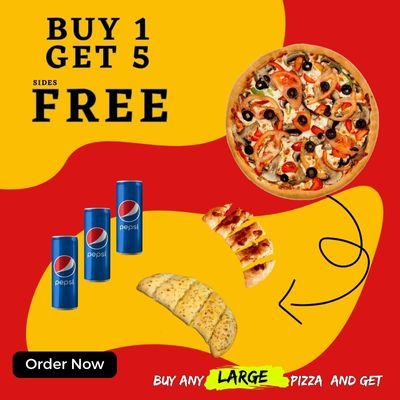 Any Large Pizza (Veg) + 5 Sides