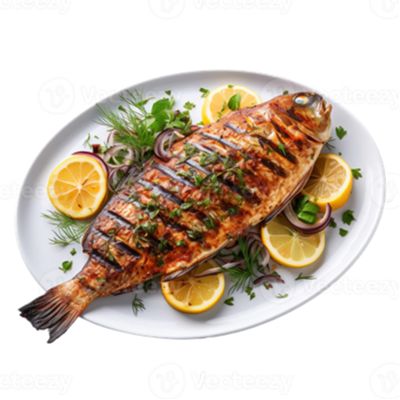 Fish Starters