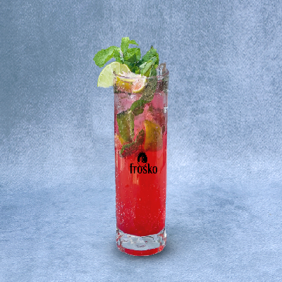 Watermelon Mojito