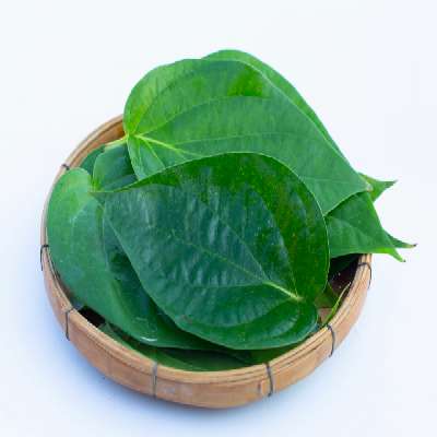 Betel Leaf (Paan Leaf) (Bunch Of 5)