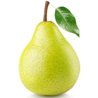 Pear Indian Sweet (Babugosha)