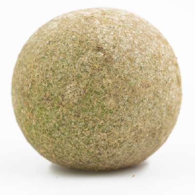 Bael Fruit (Wood Apple)