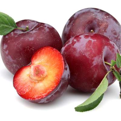 Plum Local
