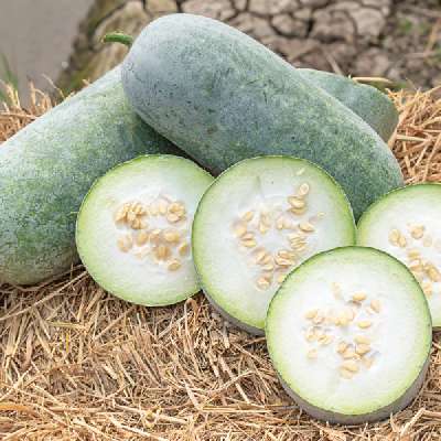 Ash Gourd (Petha)