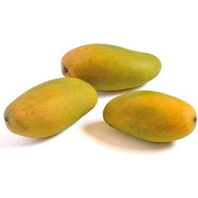 Mango Deshari (Semi-Ripe To Ripe)