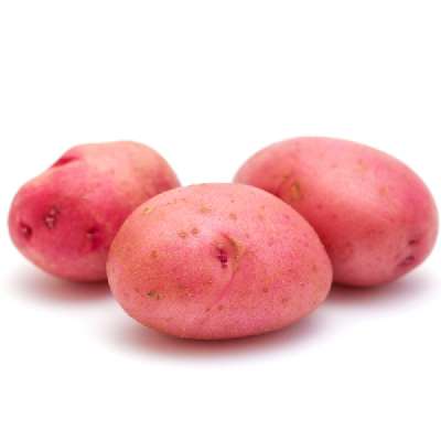 Red Potatato