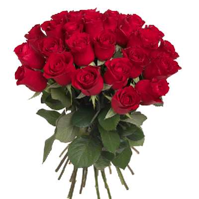 Red Rose Bunch (20 PCS)