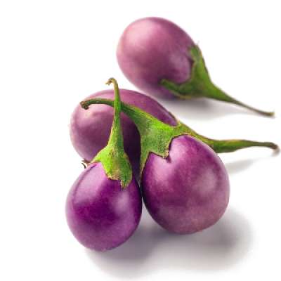 BRINJAL(Chuchu)