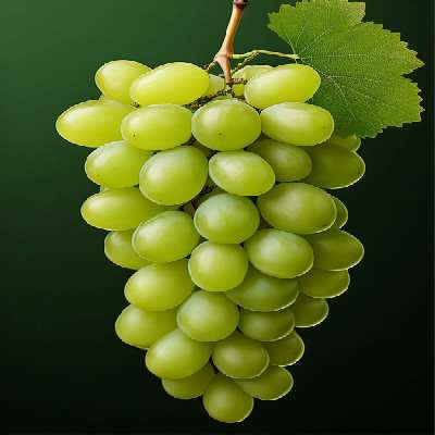 Green Grapes