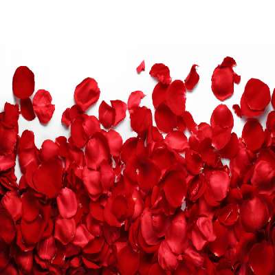 Red Rose Petals