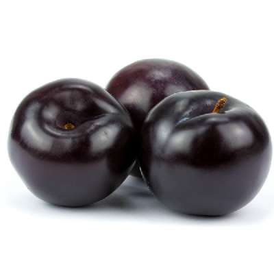 Plum Italy