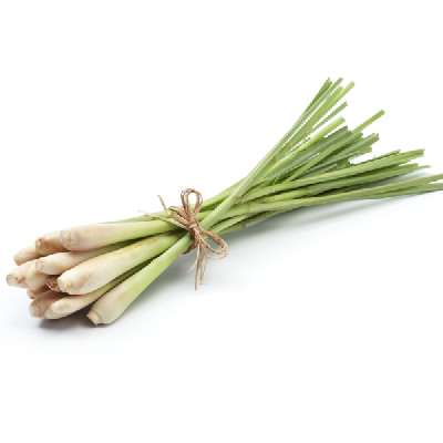 Lemon Grass