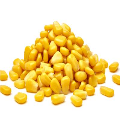 Sweet Corn