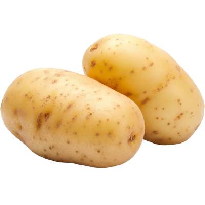 Potato (Chipsona) Bumper