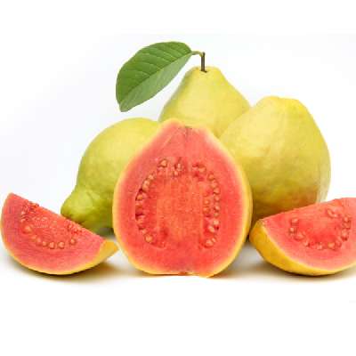 Guava Red Diamond - Japan