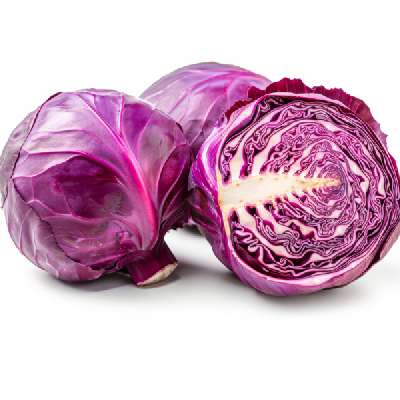 Cabbage - Red