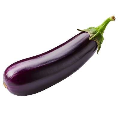 Brinjal Long