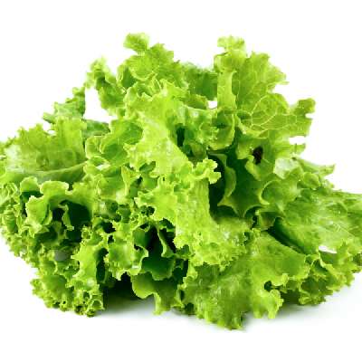 Lettuce