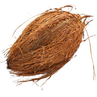 Coconut Brown(Nariyal)