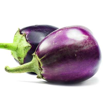 BRINJAL(MEDIUM)