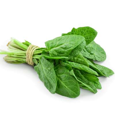 Spinach (Palak)