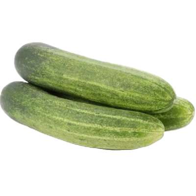Cucumber Hybrid (Kheera - Hybrid)