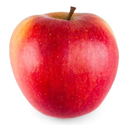 Apple Shimla