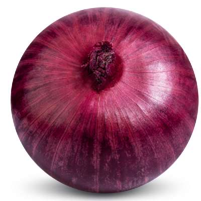 Onion (Bumper)