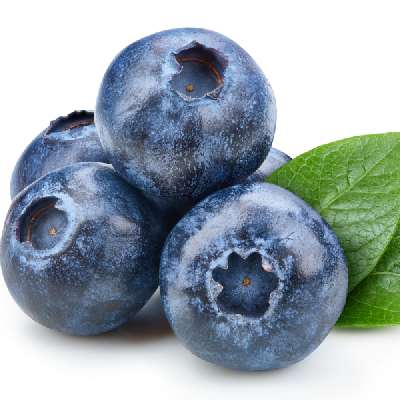 Blueberry Jumbo