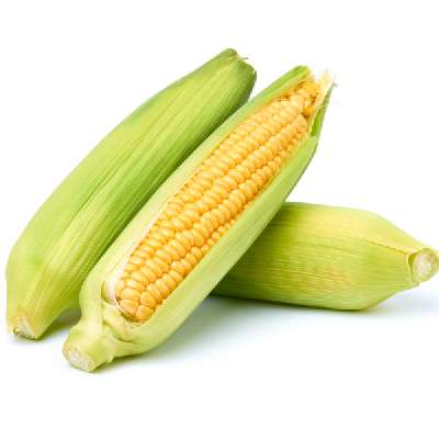 Corn Cob (Whole) (Bhutta)