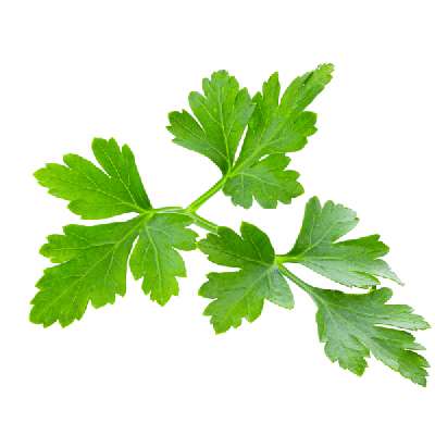 Parsley