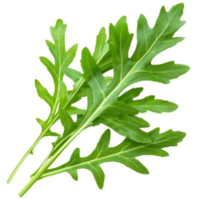 Rocket Leaves (Box)