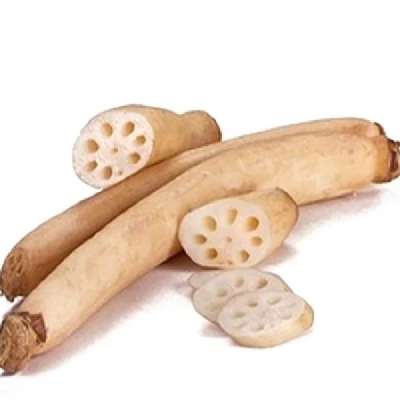 Lotus Stem (Kamal Kakdi)