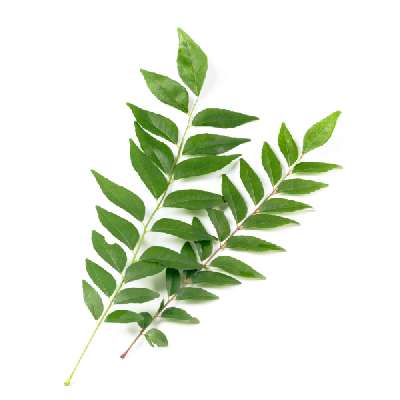 Curry Leaf