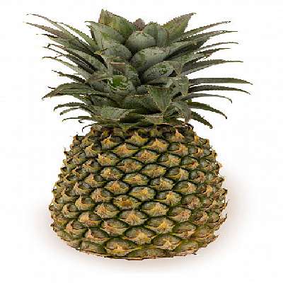 Pineapple(Queen)