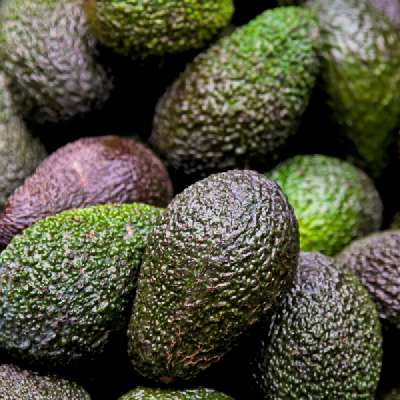Avocado - Semi Ripe (By Kg))