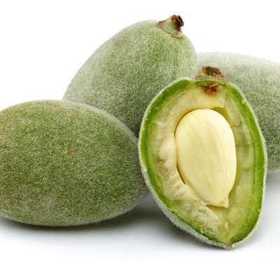 Almond Green