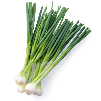 Spring Onion