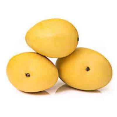 Mango Safeda Medium (Semi-ripe To Ripe)