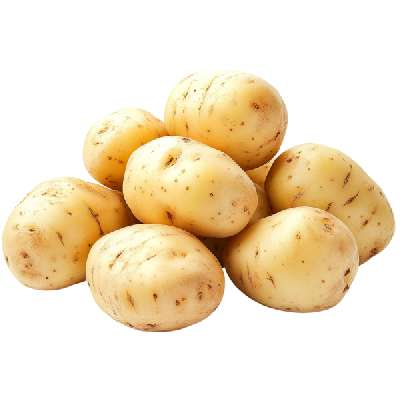 Baby Potato