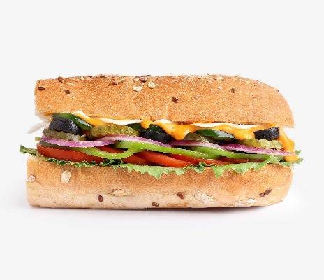 Veg Paradise Sub.