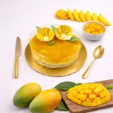 Probiotic Mango Cheese Cake