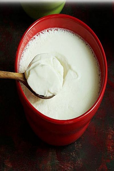 Plain Dahi