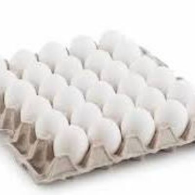 Egg Tray