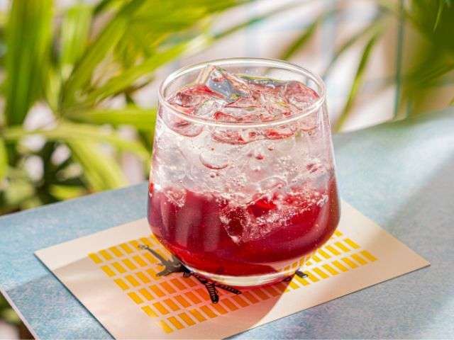 Hibiscus Raspberry Cooler