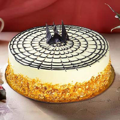 Celebration Cakes [1 KG + 1 KG Free] new