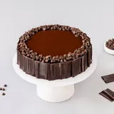2009 Real Bites Chocolate Chips Cake 500 Gm