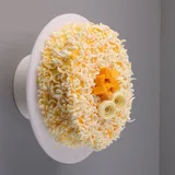 Mango White Chocolate Cake